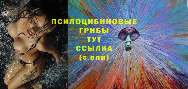 мет Аркадак